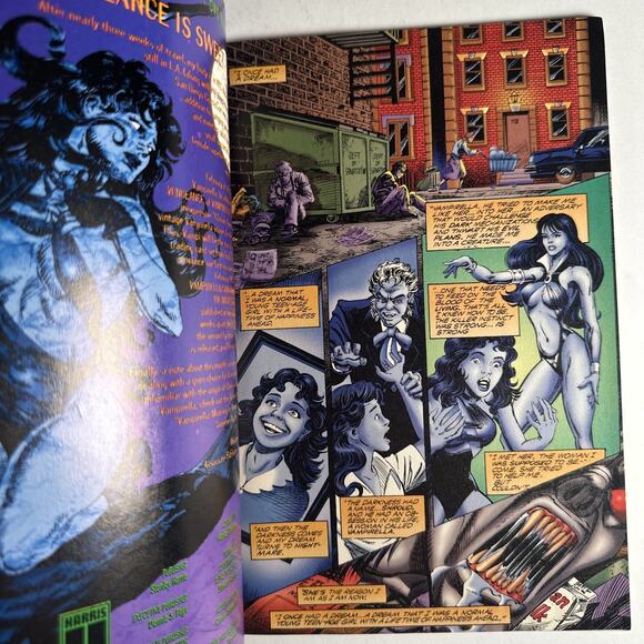 VENGEANCE OF VAMPIRELLA #6 1994,SNIEGOSKI CHO NICHOLS, BONUS PHOTO CENTERFOLD - Picture 5 of 6